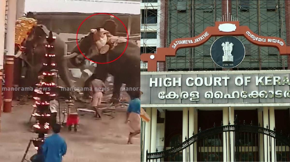 guruvayur-devaswom-elephant-welfare-court-order