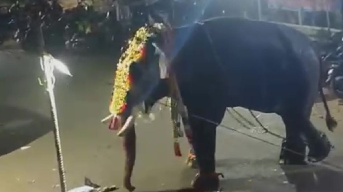 koottanadu-elephant