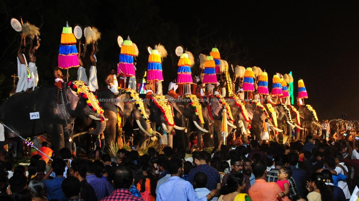 elephant-sc