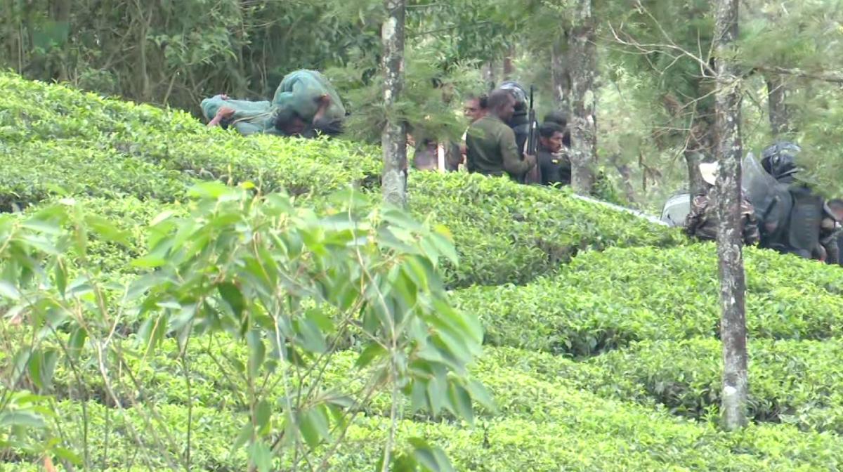 ദൗത്യസംഘത്തിനുനേരെ കടുവ ചാടി; വണ്ടിപ്പെരിയാര്‍ ഗ്രാമ്പിയില്‍ ഇറങ്ങിയ കടുവയെ മയക്കുവെടിവച്ചു