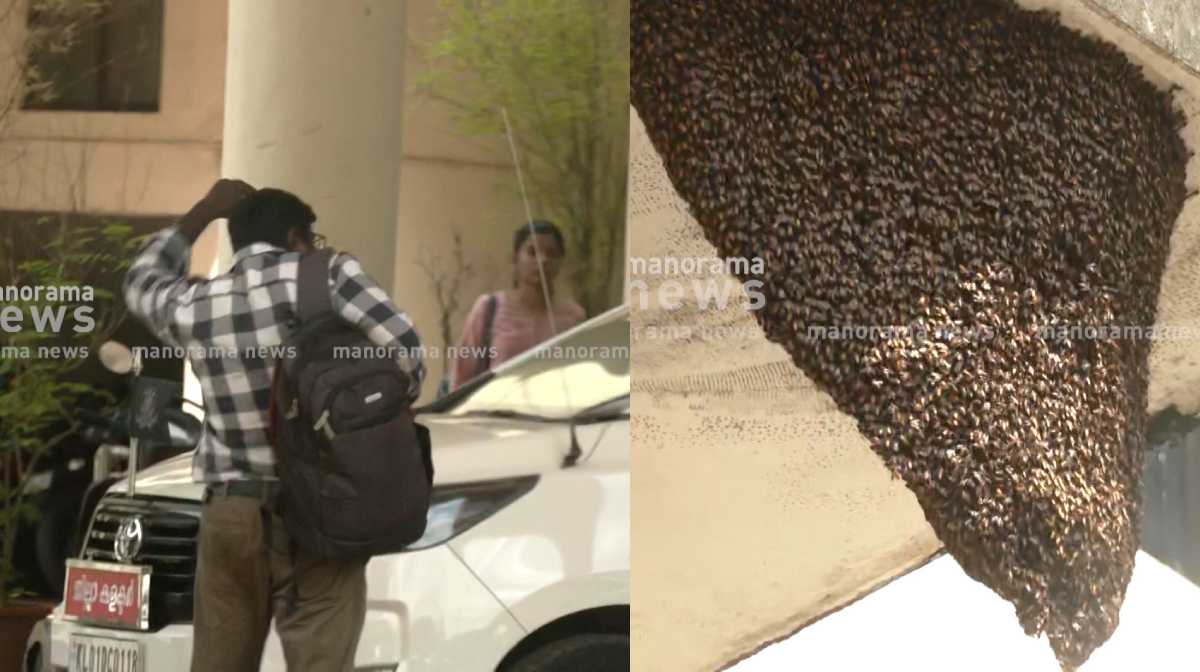 thiruvananthapuram-collectorate-bee-attack