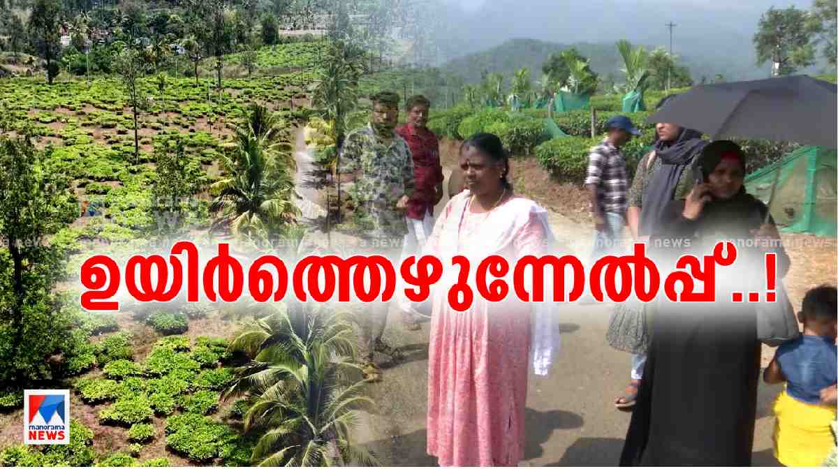 chooralmala-mundakkai-rebuilding-n