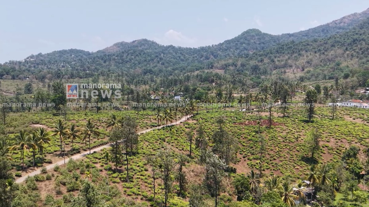 township-wayanad