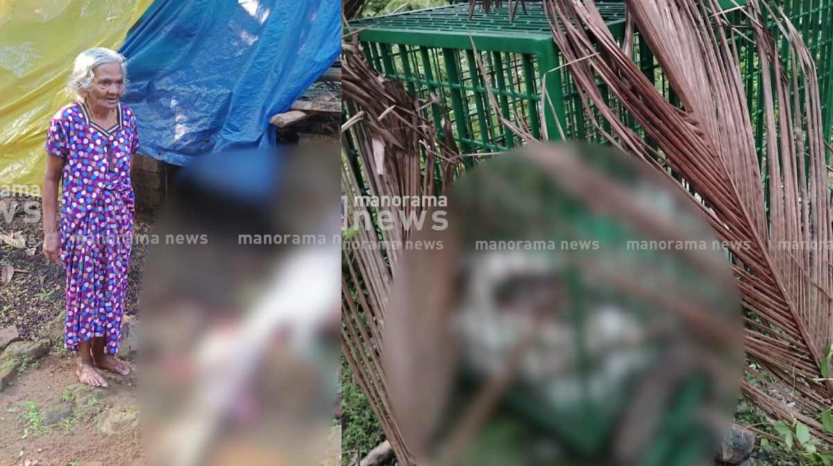 tiger-attack-chakkittappara-again