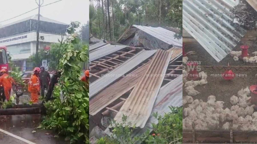 wind-rain-orange-alert-chicken-farm-collapse