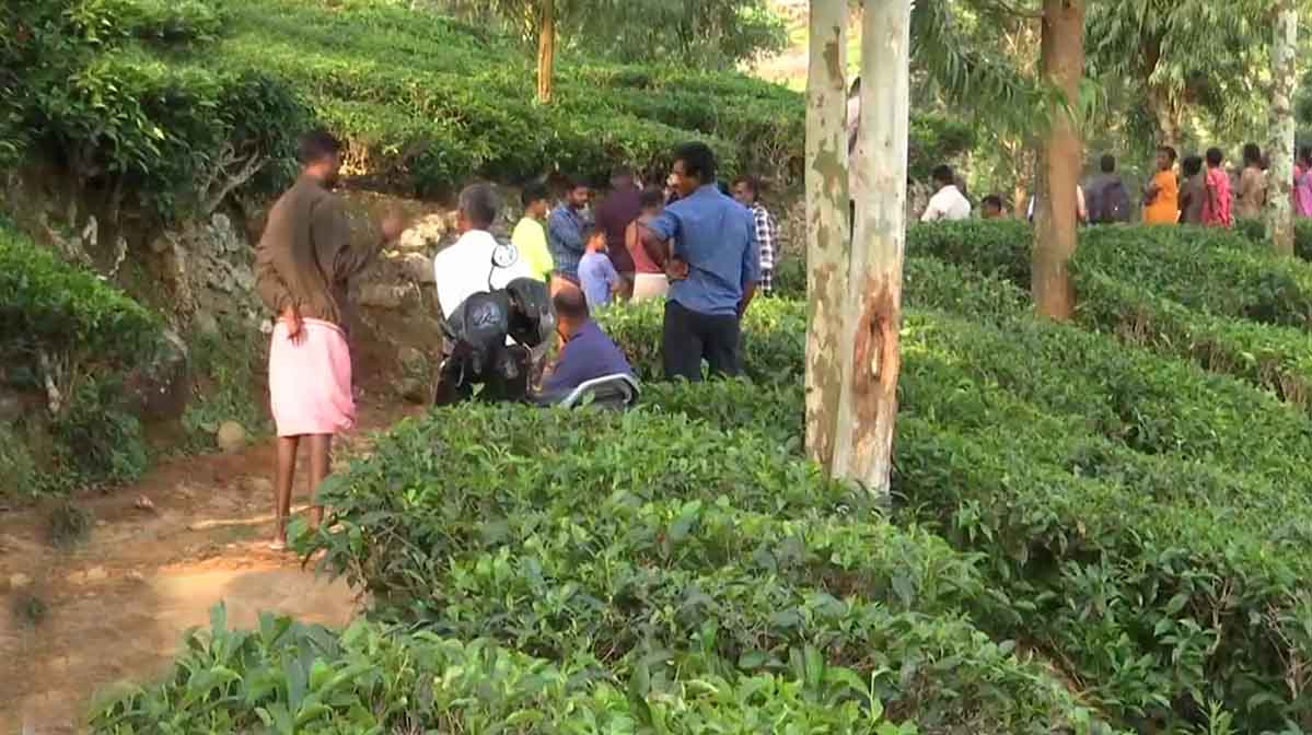 wayanad