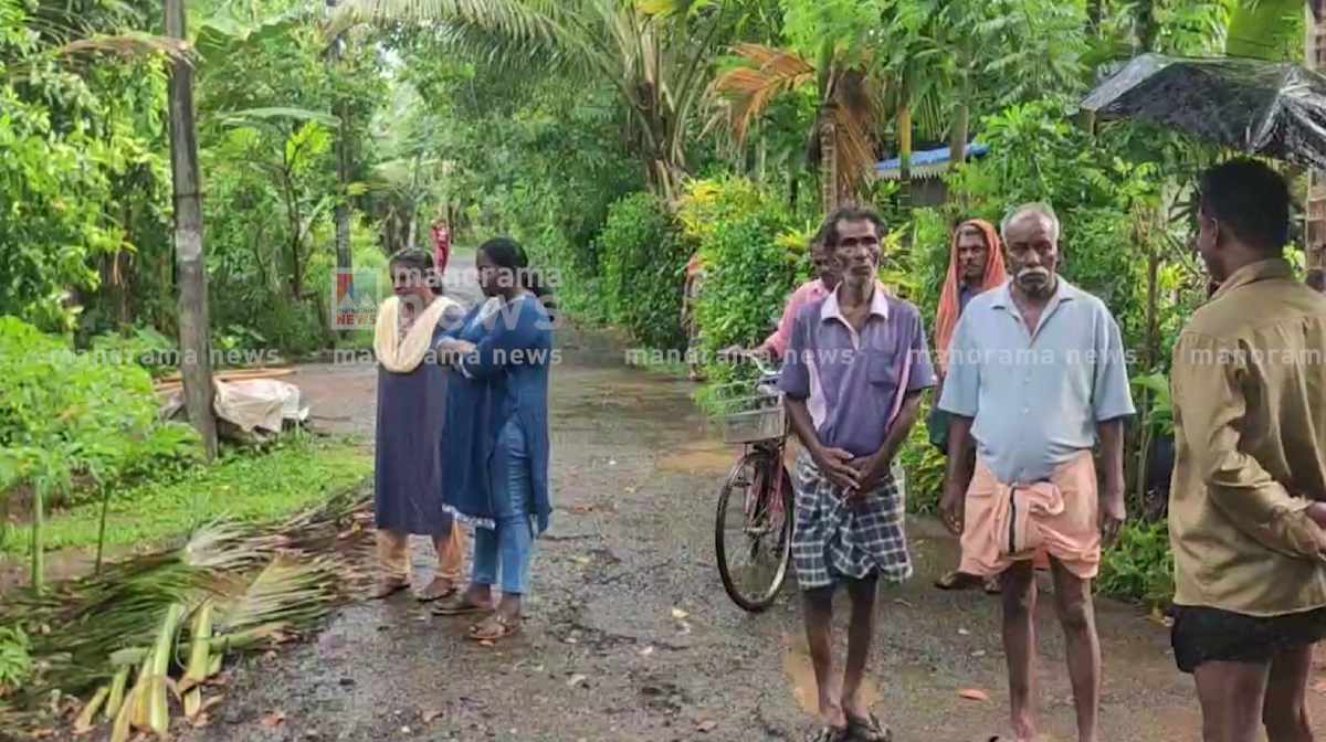 alappuzha-stray-dog-attack-2