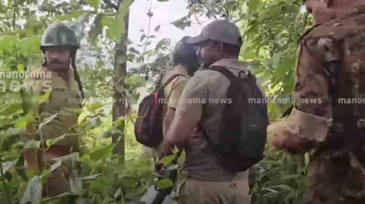 tiger-malappuram-JPG