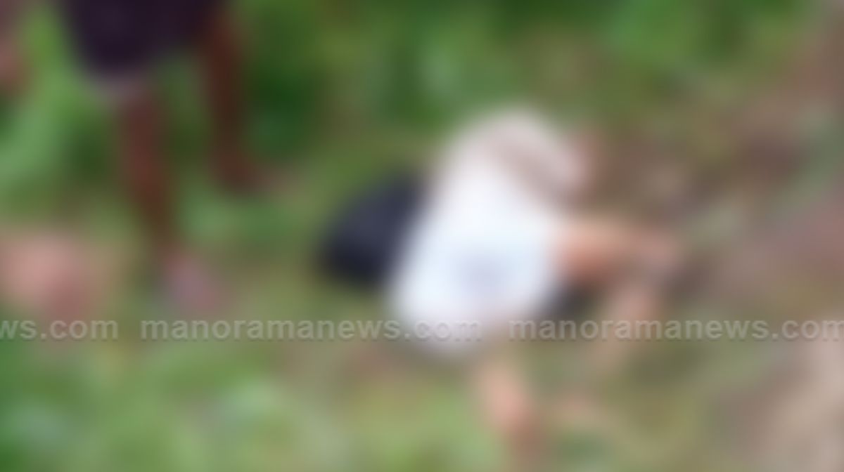 wild-elephant-attack-palakkad-tapper-death