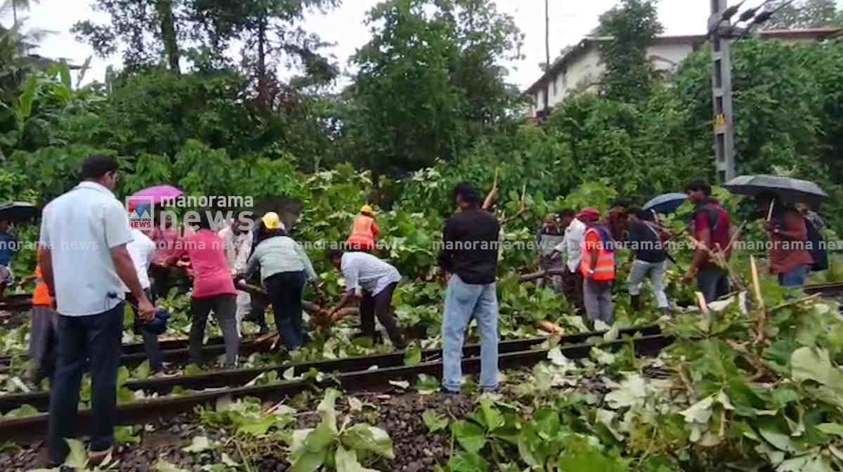 thiruvalla-rail-tree-2