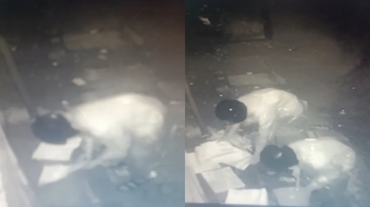 poster-war-within-the-thris