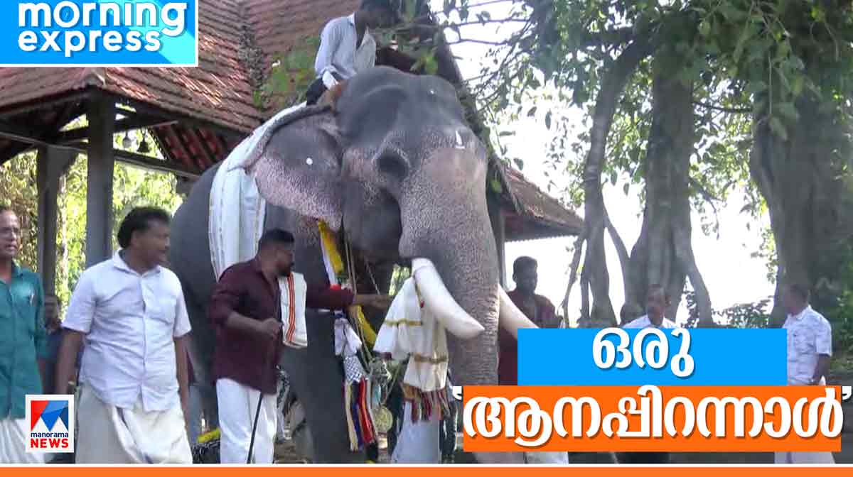 velinallur-elephant