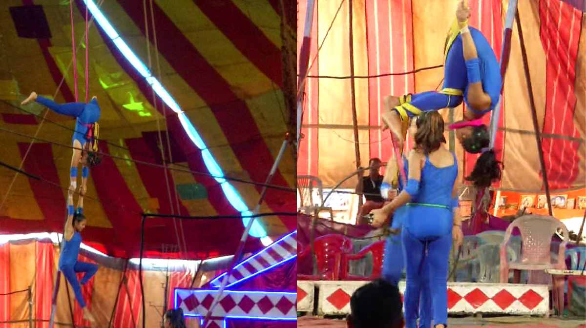 circus-cricis circus-cricis