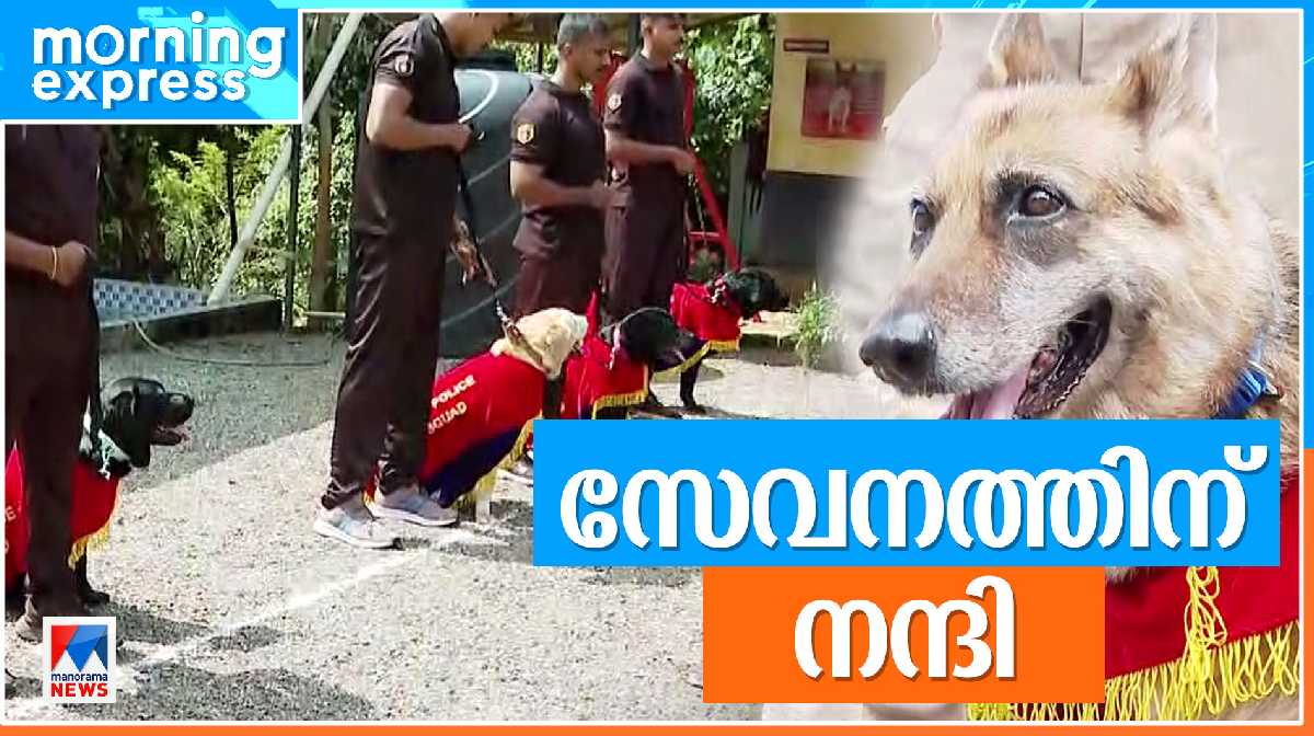 dog-retire dog-retire