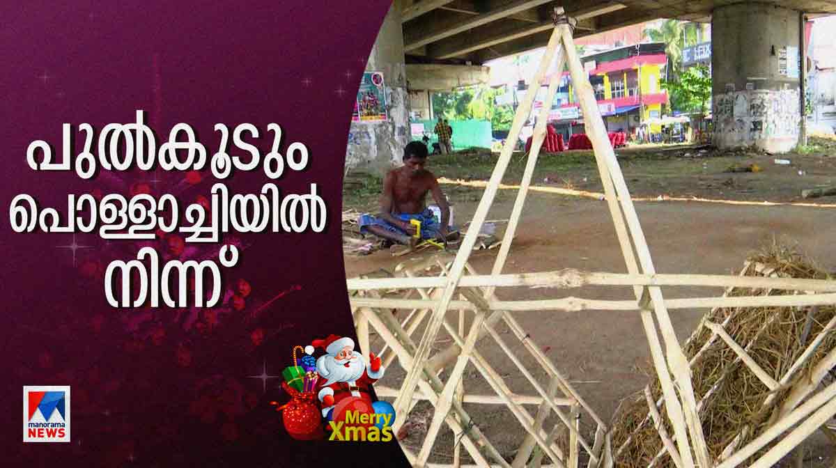 christmas-crib-and-stars-from-tamil-nadu-have-also-made-their-way-to-kerala