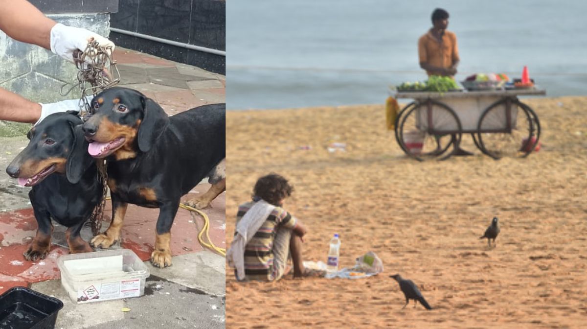 Akhil Marar will give money to CMDRF, Campaign Against cmdrf: Will the case survive if it goes to court?, wayanad landslide today live updates, mundakai landslide, chooralmala landslide, rescue ops, rescue operations, military help, chooralmala, meppadi, - 1