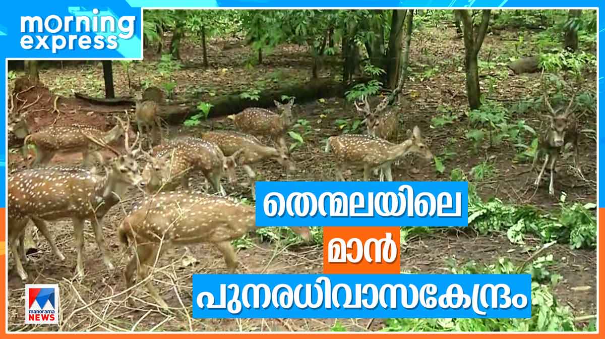 thenmala-park thenmala-park