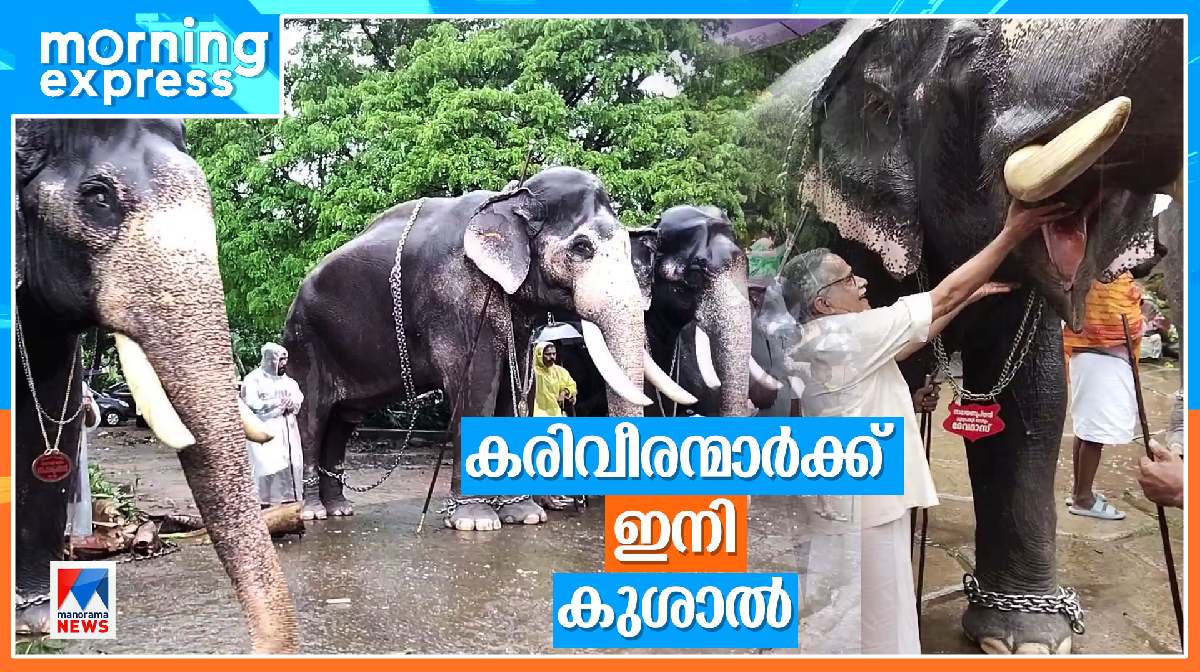 guruvayoor-elephants