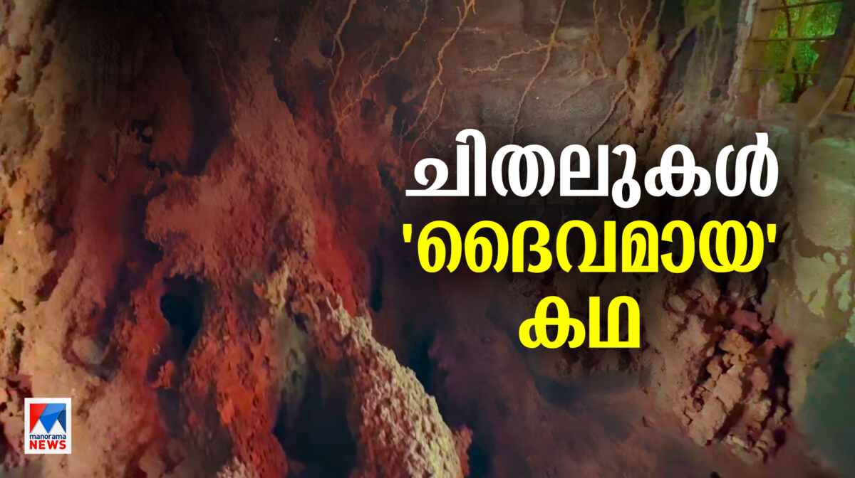 story-of-termite-worshippers-in-wayanad-chekodi