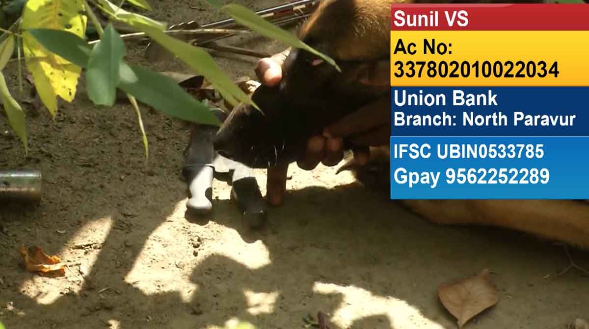 chendamangalam-help