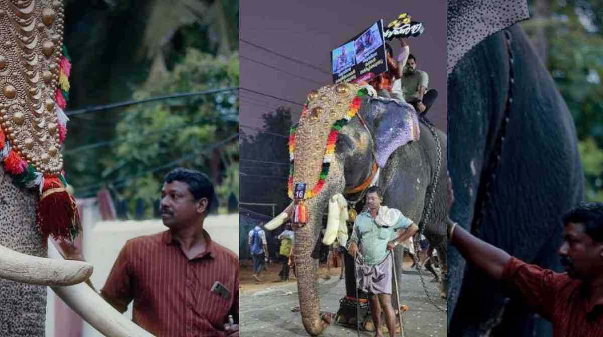 elephant-kunjumon