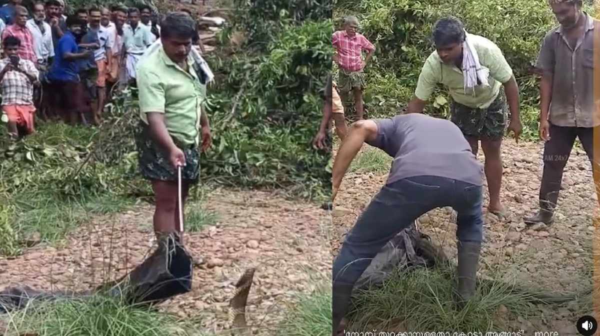 snake-muralee-fb-post