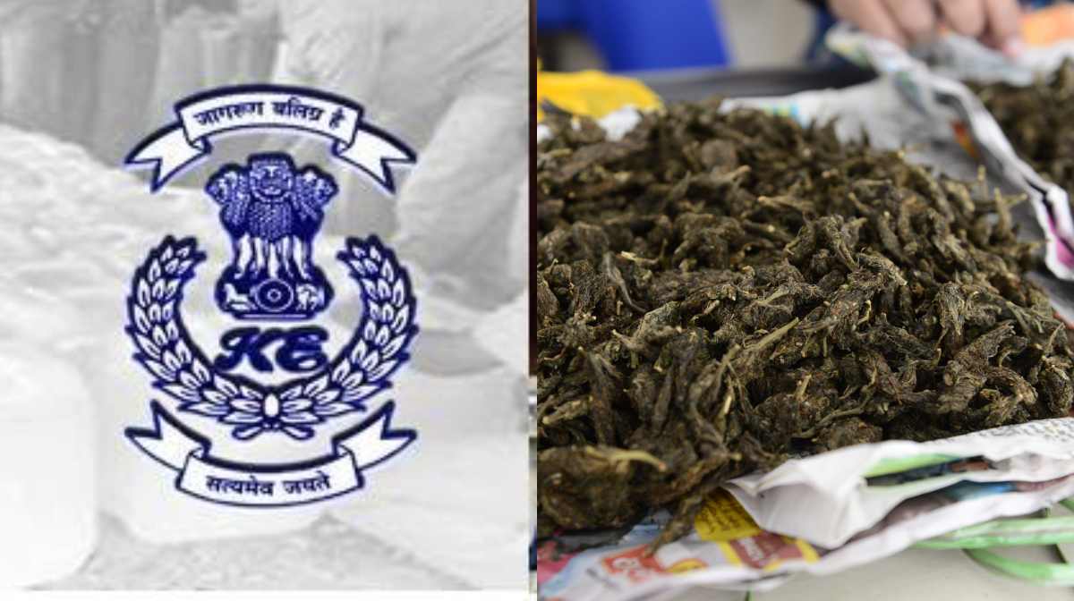 ganja-excise-tips
