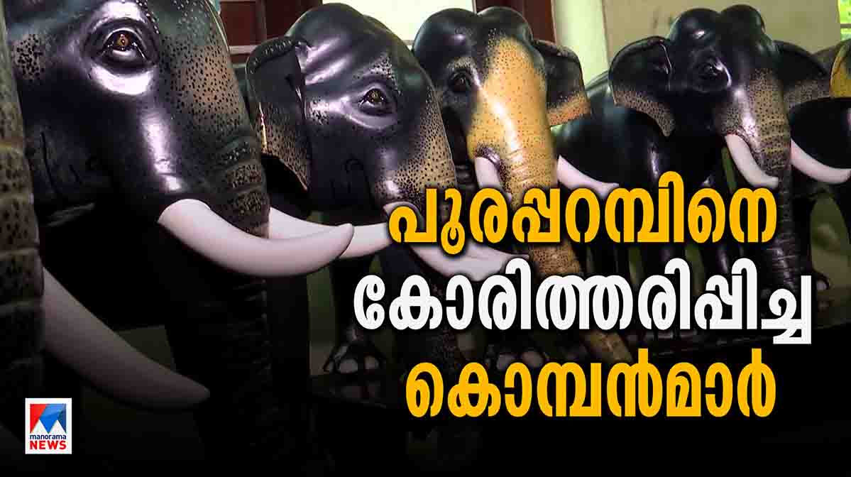 elephantminiature-HD