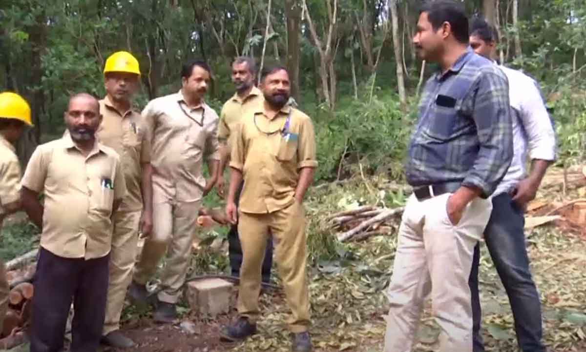 kseb