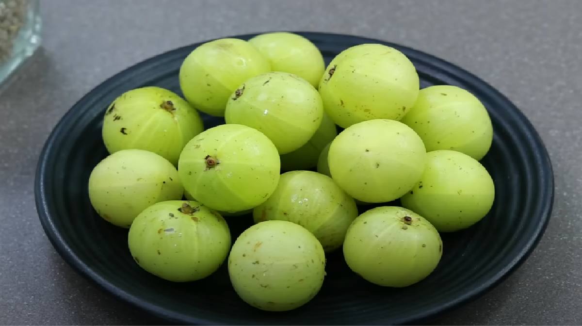 gooseberry-pic