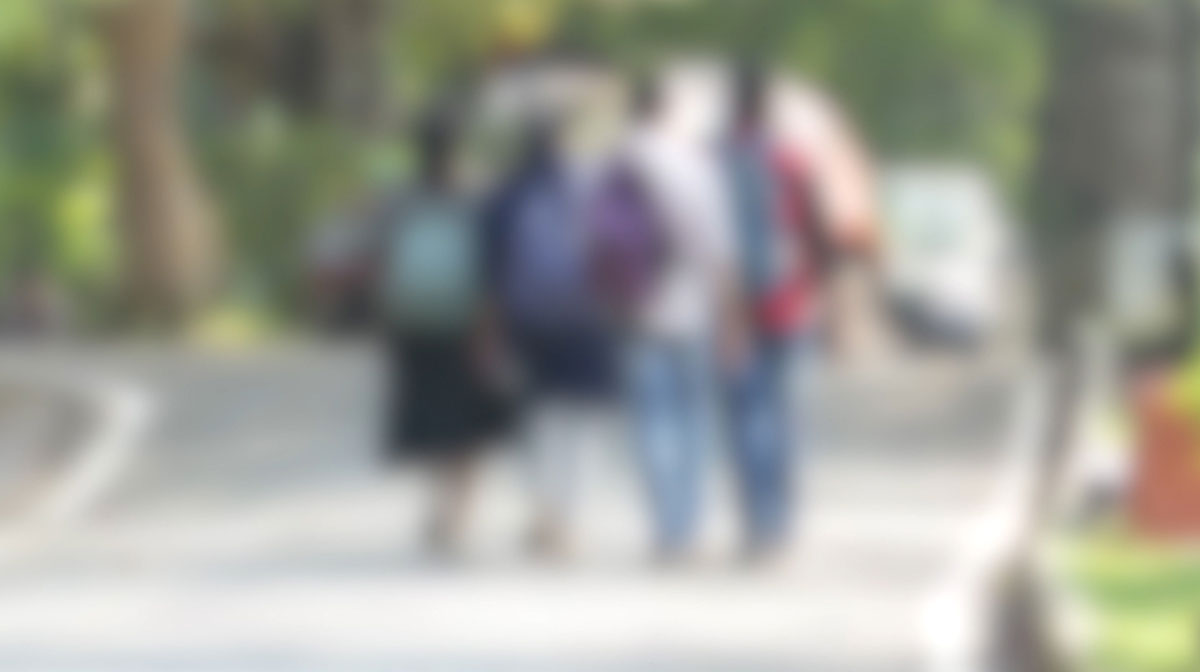 expat-survey-students