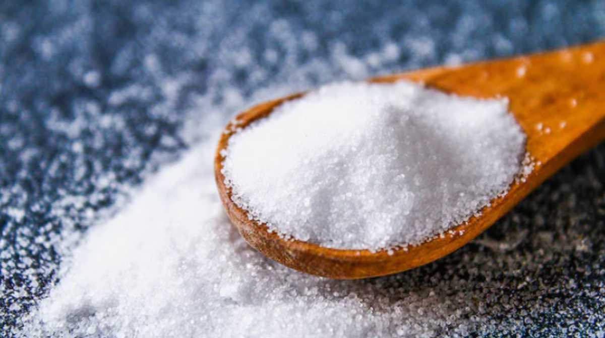 salt-lifestyle