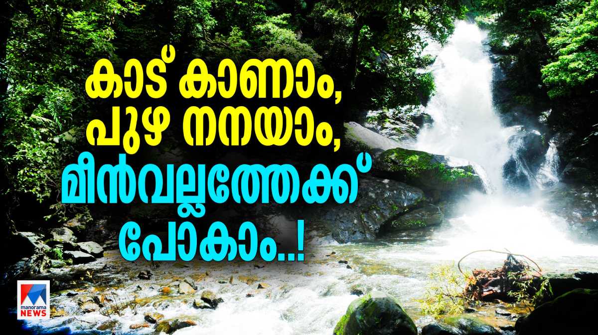 natural-beauty-of-meenvallom-waterfalls