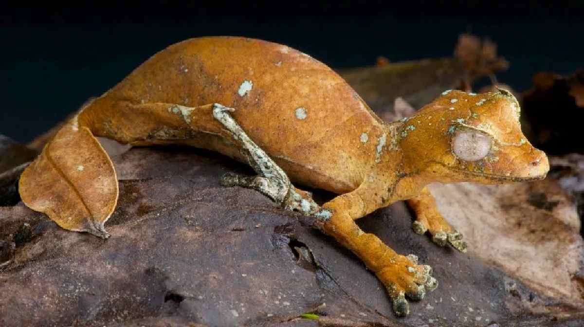 Photo courtesy: sciencefocus