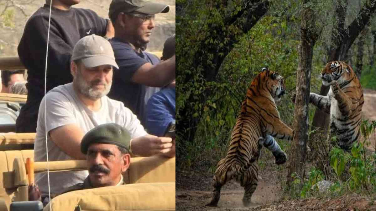 rahul-ranthambore-visit