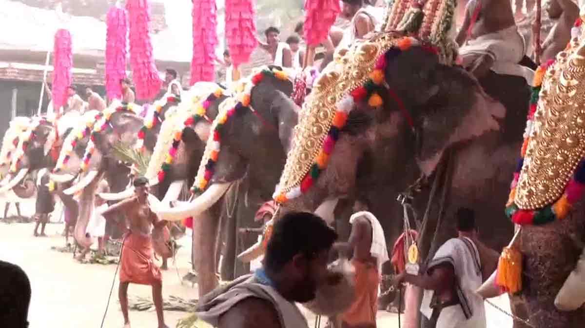 tripunithura