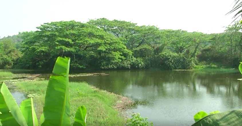 kozhikode-neerthadam