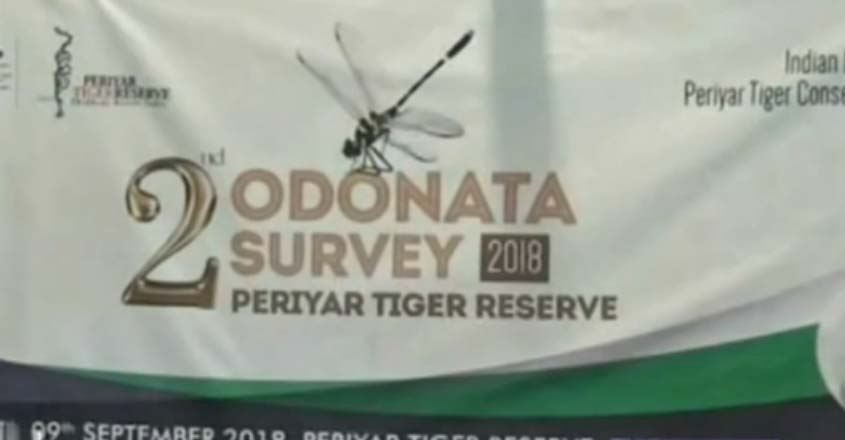 odonata-survey-t odonata-survey-t