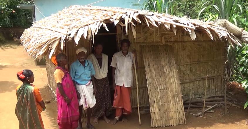 tribals tribals