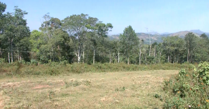 ayur-06