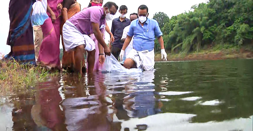 damfish-05 damfish-05