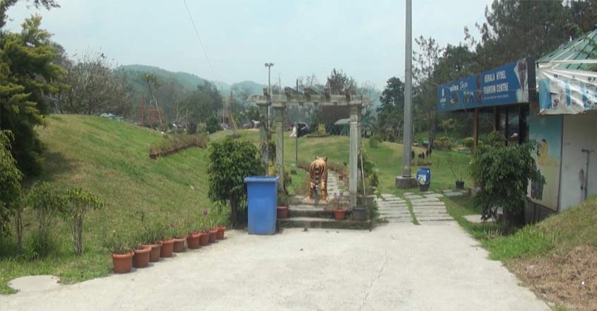 munnar-covid munnar-covid