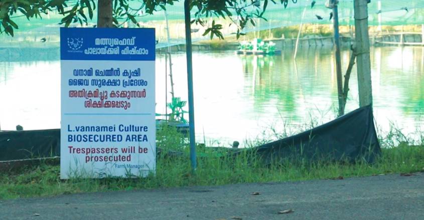 palakkari-fish-farm-