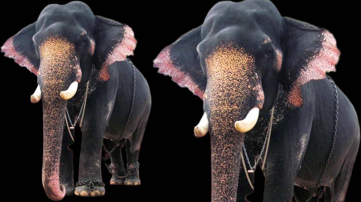 vadakkumnathan-chandrashekar