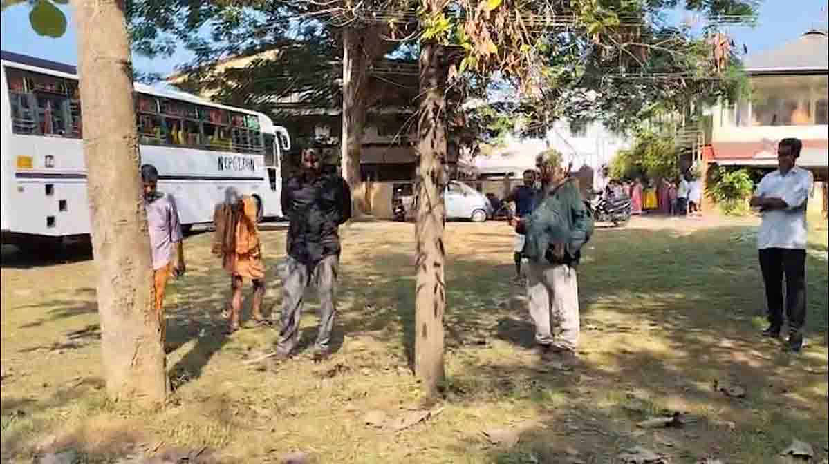 chalakudy-tiger