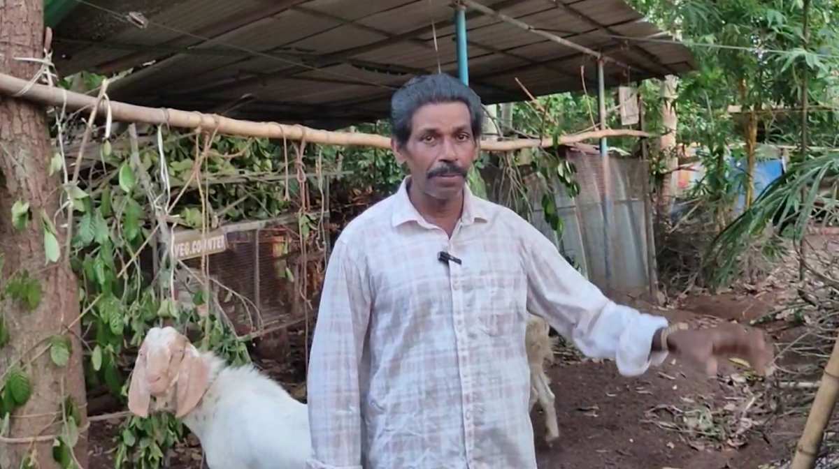 goat-killer