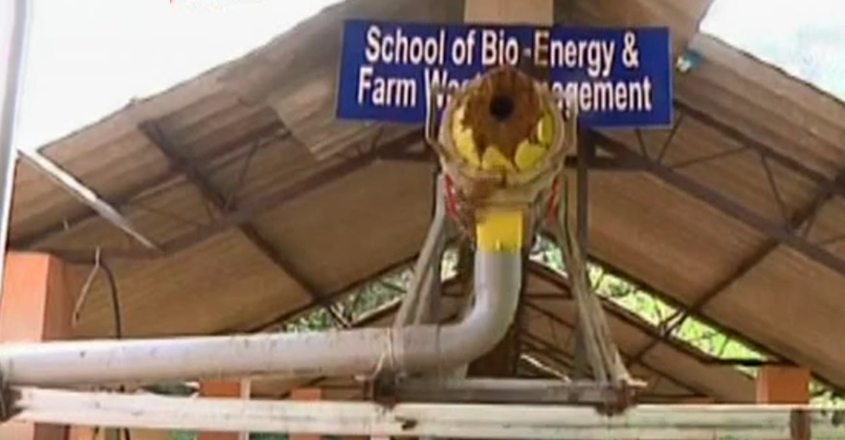 bio-energy bio-energy