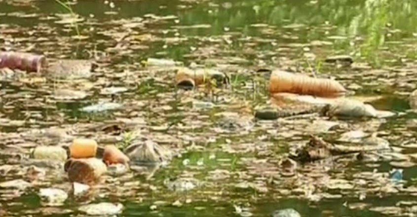 kozhikode-poonur-river-1