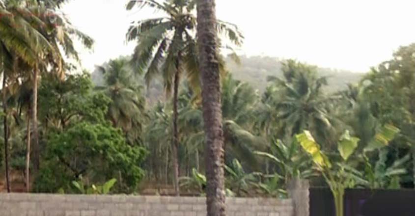 chengottumala-t chengottumala-t