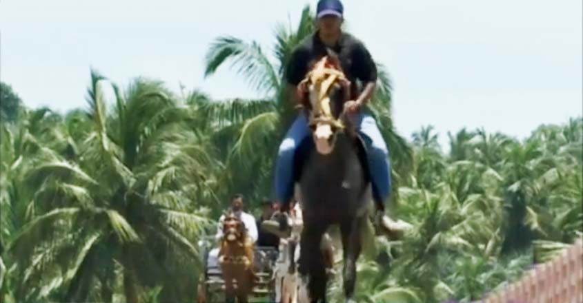 horse-riding-t horse-riding-t
